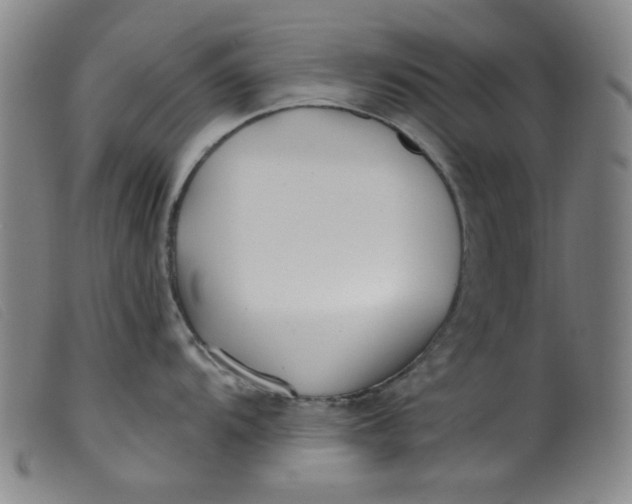 X0000099321104200805161354