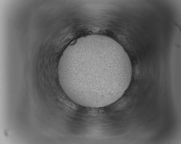 X0000099321105200805161354