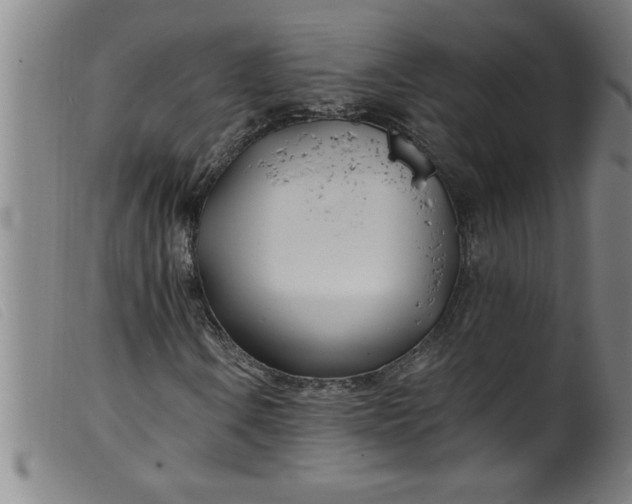 X0000099321106200805161354