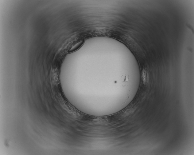 X0000099321107200805161354