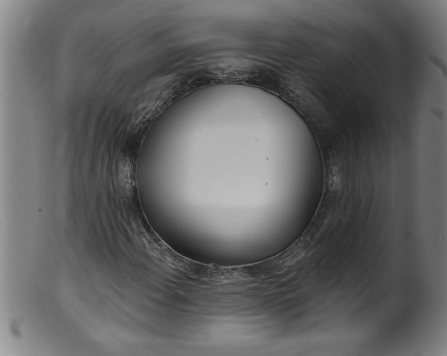 X0000099321108200805161354