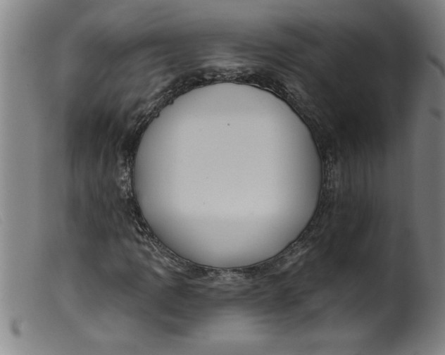 X0000099321109200805161354