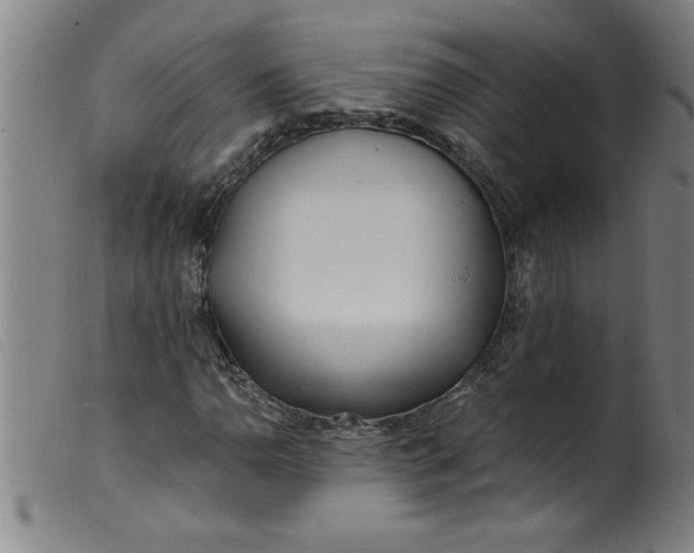 X0000099321110200805161354