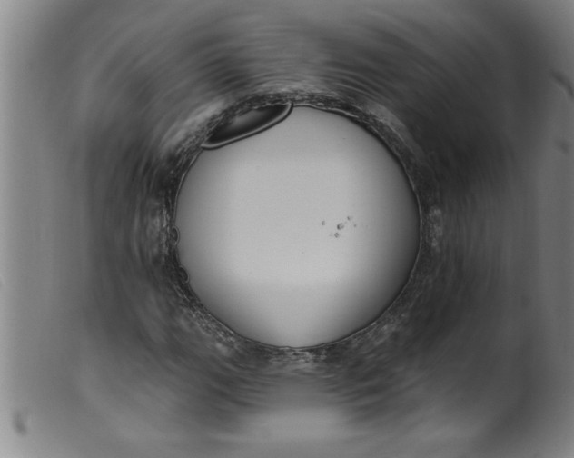 X0000099321111200805161354