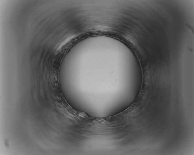 X0000099321112200805161354