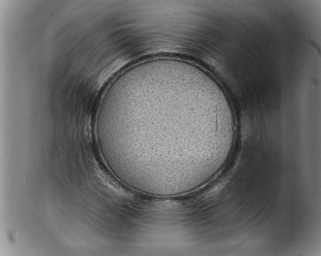 X0000099321113200805161354