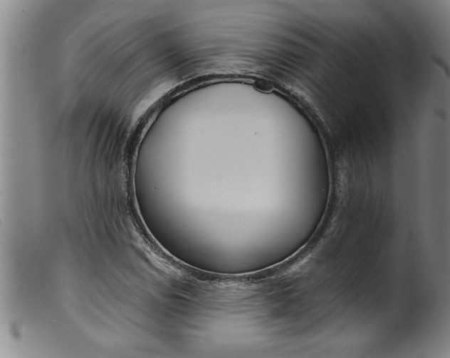 X0000099321114200805161354