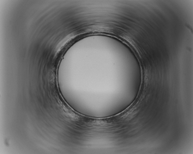 X0000099321115200805161354