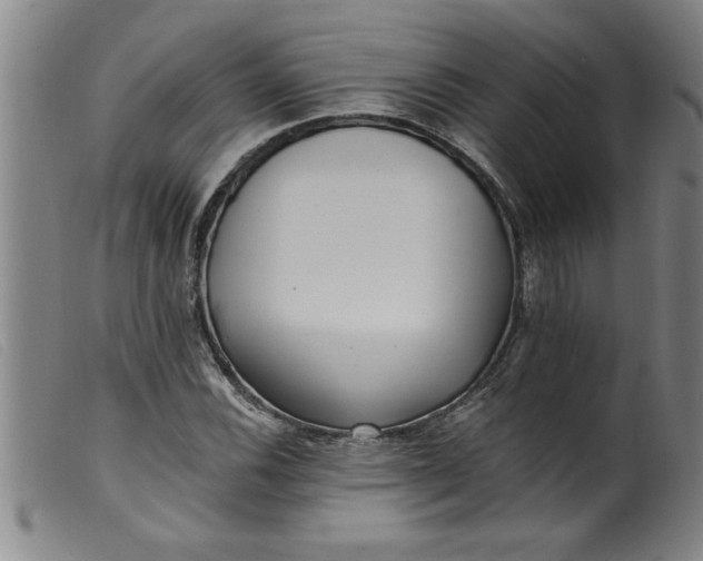 X0000099321116200805161354