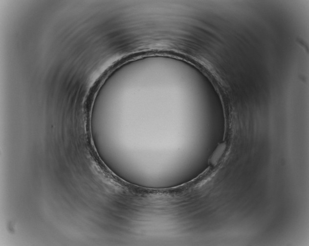 X0000099321118200805161354