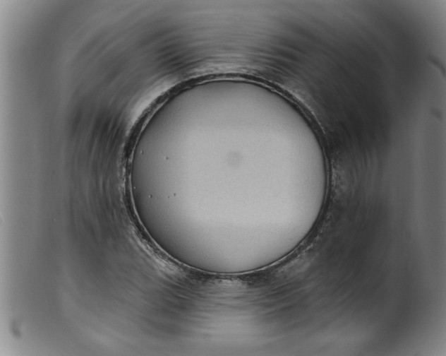 X0000099321119200805161354