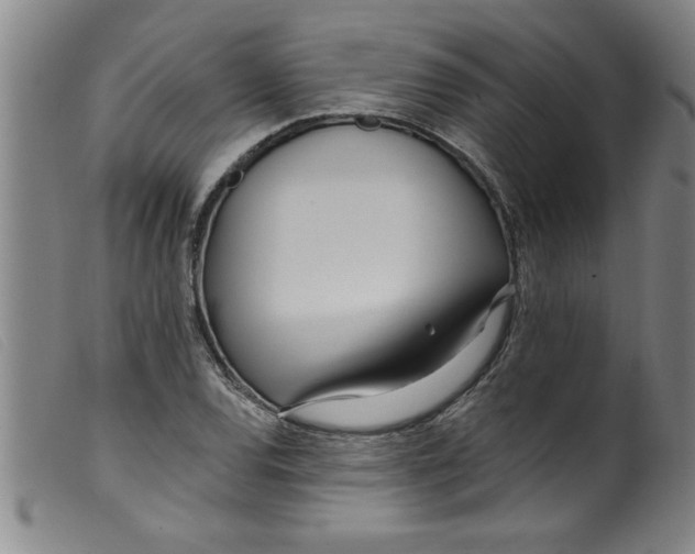 X0000099321120200805161354