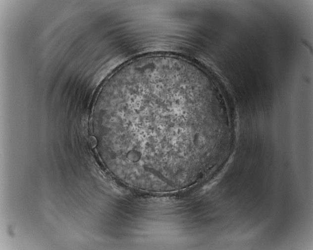 X0000099321121200805161354