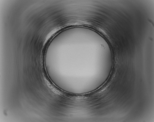 X0000099321122200805161354