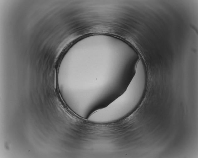 X0000099321123200805161354