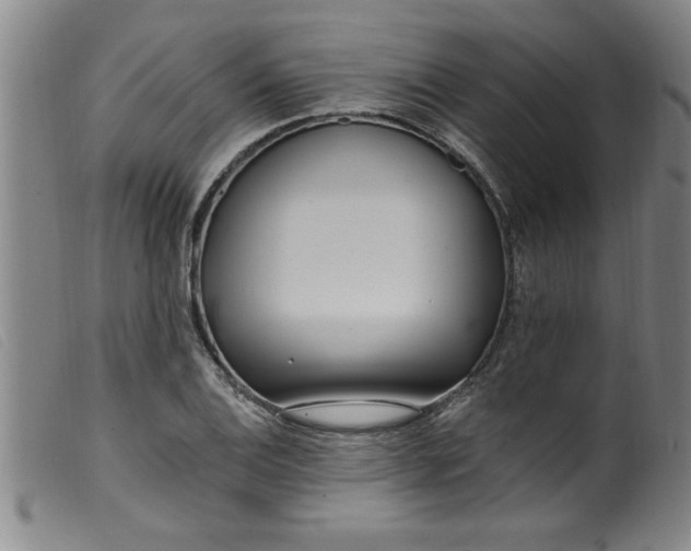 X0000099321124200805161354