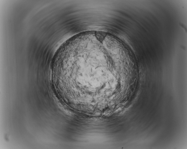 X0000099321125200805161354