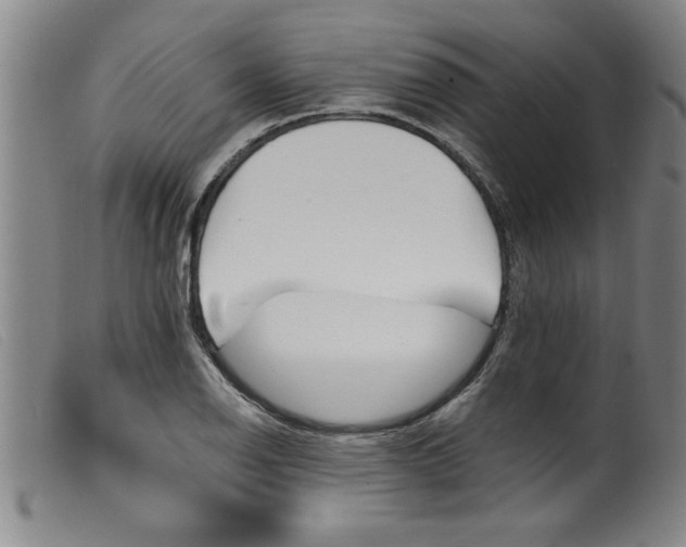 X0000099321126200805161354