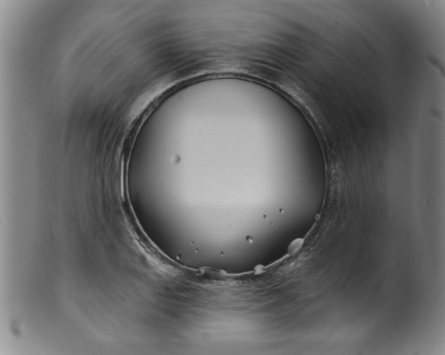 X0000099321127200805161354