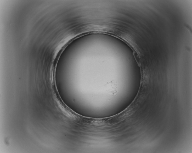 X0000099321128200805161354