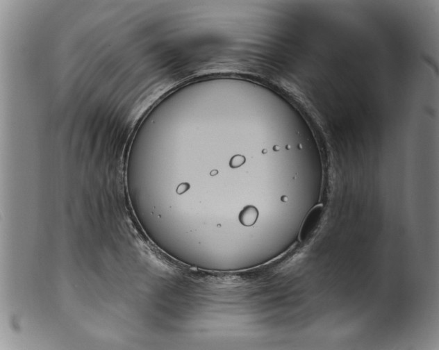 X0000099321129200805161354