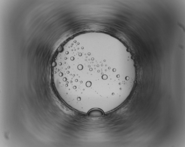 X0000099321130200805161354