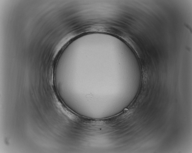 X0000099321131200805161354