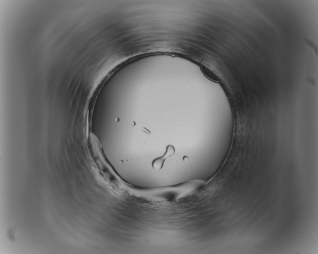 X0000099321132200805161354