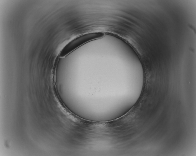 X0000099321134200805161354