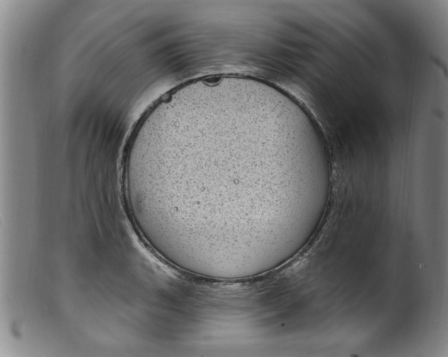 X0000099321135200805161354