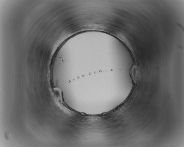 X0000099321136200805161354