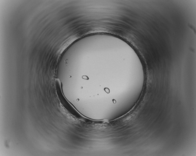 X0000099321137200805161354