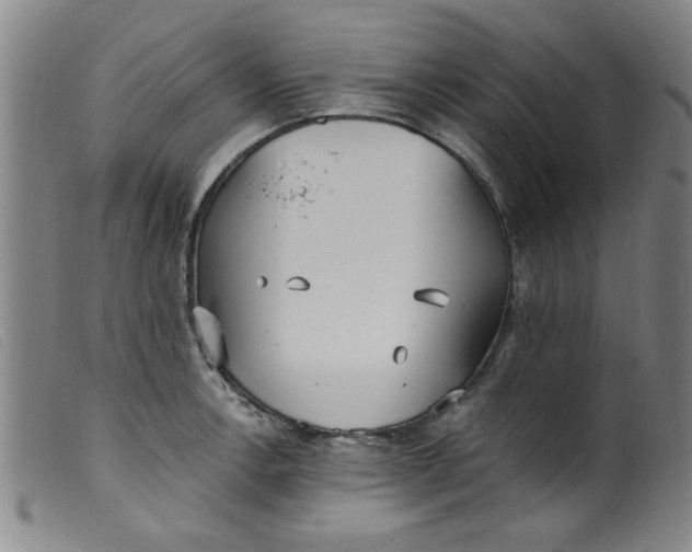 X0000099321138200805161354