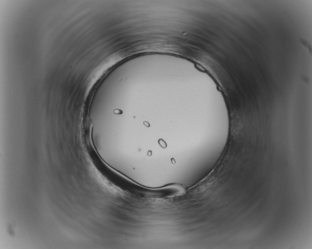 X0000099321139200805161354