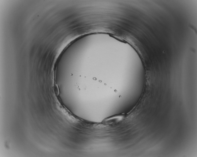 X0000099321140200805161354