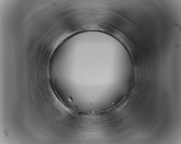 X0000099321141200805161354