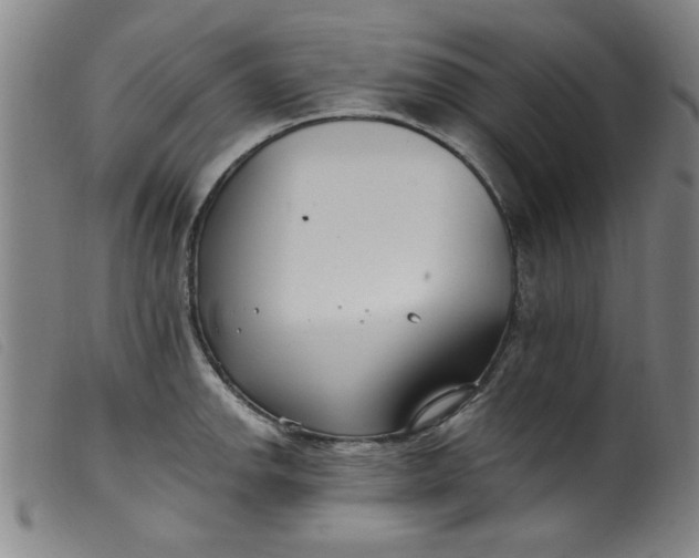 X0000099321142200805161354