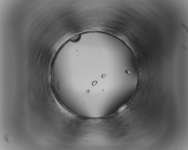 X0000099321143200805161354