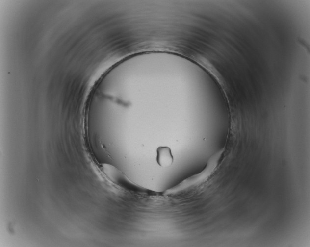 X0000099321144200805161354