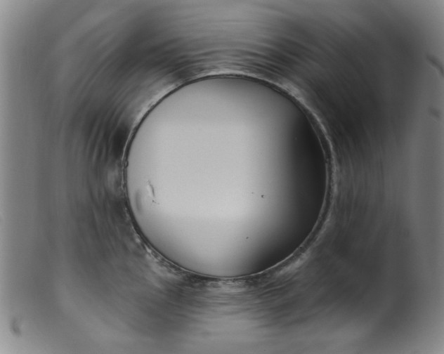 X0000099321145200805161354