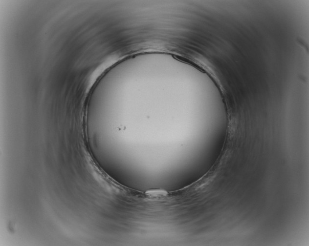 X0000099321146200805161354