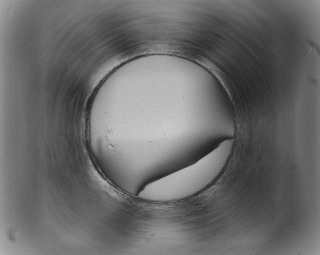 X0000099321147200805161354