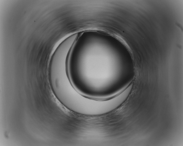 X0000099321148200805161354