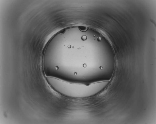 X0000099321149200805161354