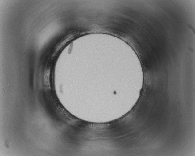 X0000099321150200805161354