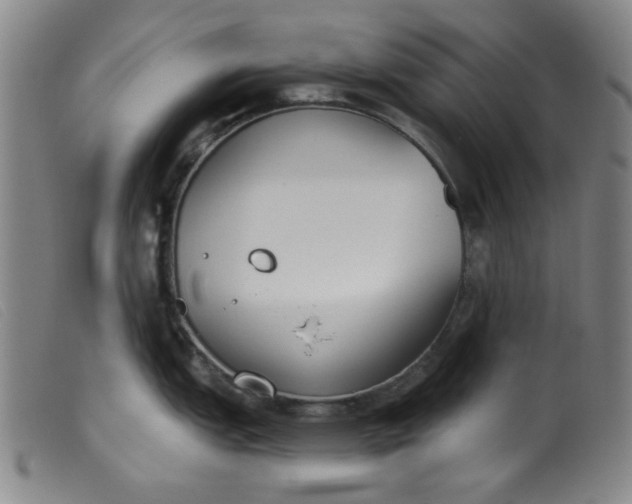 X0000099321151200805161354