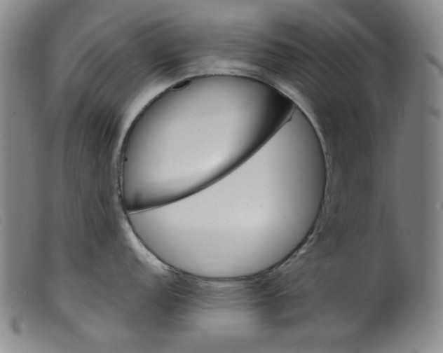 X0000099321152200805161354