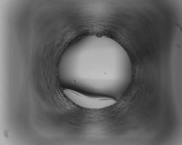 X0000099321153200805161354