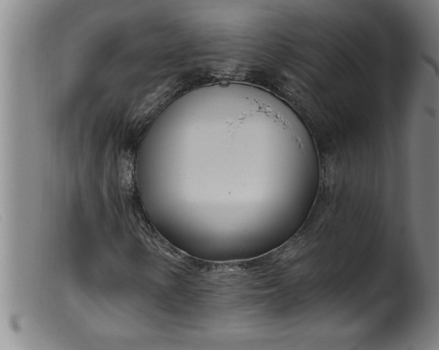 X0000099321154200805161354