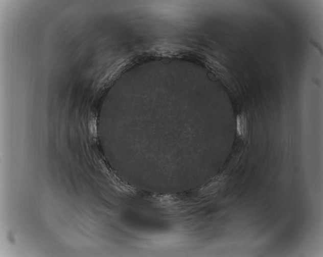 X0000099321155200805161354